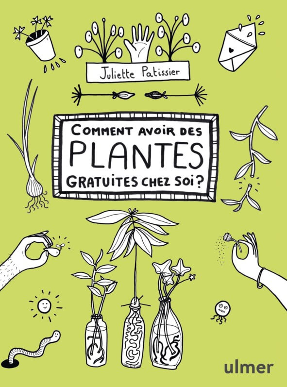 Lire la suite à propos de l’article Comment avoir des plantes gratuites chez soi