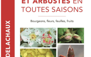 Identifier arbres et arbustes en toutes saisons, Bourgeons, fleurs, feuilles, fruits Rita Lüder, Delachaux et Niestlé, mars 2020