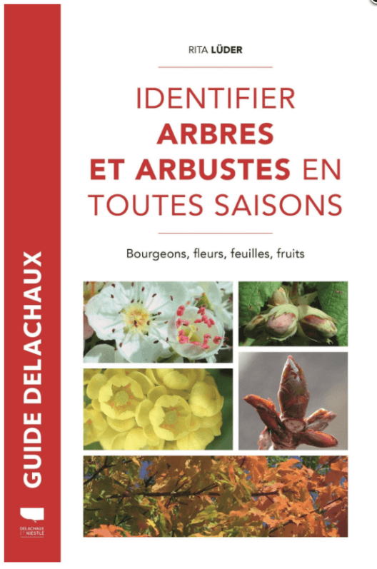 Identifier arbres et arbustes en toutes saisons, Bourgeons, fleurs, feuilles, fruits Rita Lüder, Delachaux et Niestlé, mars 2020