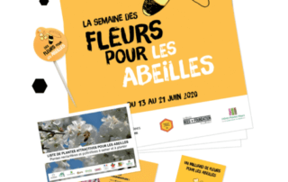 Kit de communication pour la Semaine des fleurs pour les abeilles 2020