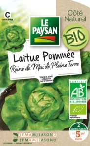 Laitue Pommée Reine de Mai de Pleine Terre Bio, Le Paysan