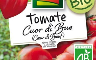 Tomate Cour di Bue (Coeur de Boeuf) Bio, Le Paysan