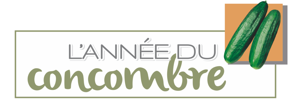 Lire la suite à propos de l’article 2020, l’année du concombre