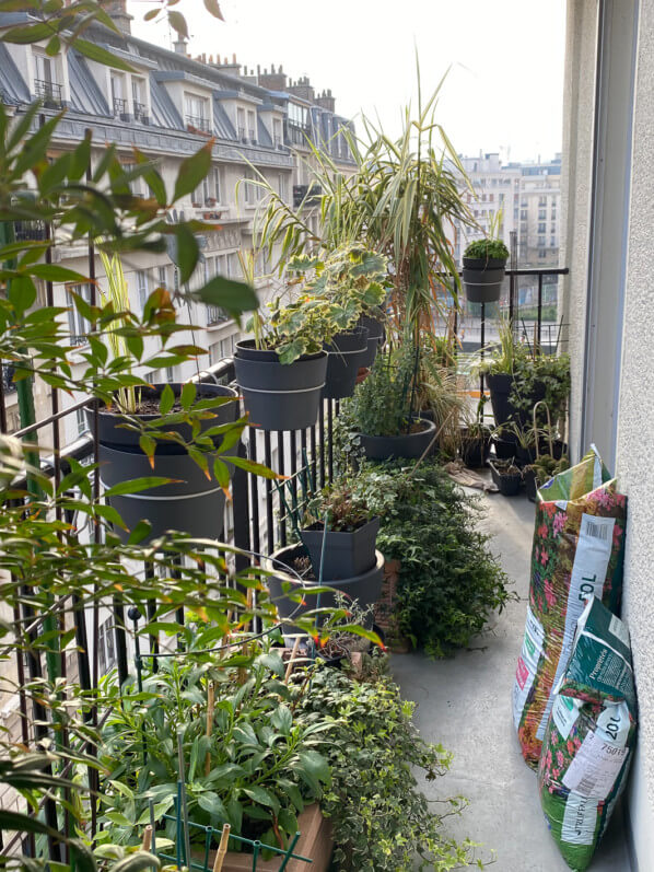Mon balcon en fin d'hiver, avec des sacs de terreau pour jardiner, Paris 19e (75)
