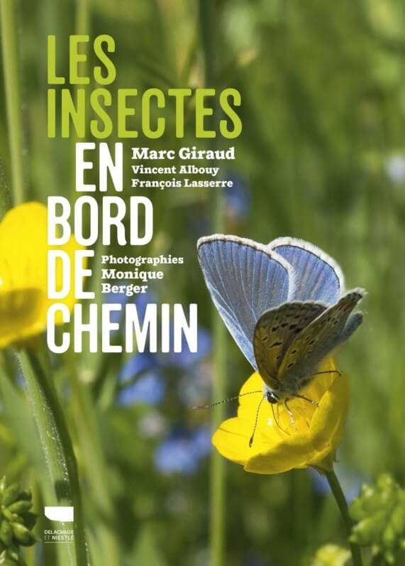 Les insectes en bord de chemin, Delachaux et Niestlé