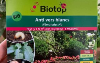Nématodes HB Biotop pour traiter contre les larves d'otiorhynques, traitement bio, au début du printemps sur mon balcon parisien, Paris 19e (75)