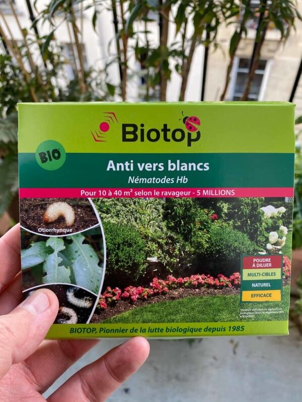 Nématodes HB Biotop pour traiter contre les larves d'otiorhynques, traitement bio, au début du printemps sur mon balcon parisien, Paris 19e (75)