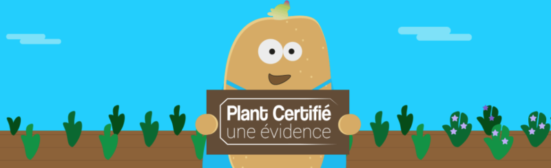 Bannière Le plant certifié de pommes de terre, GNIS