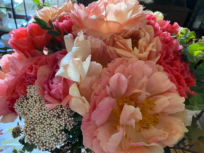 Bouquet de pivoines et de godétias, fleurs coupées, Paris 12e (75)