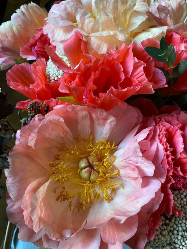 Bouquet de pivoines et de godétias, fleurs coupées, Paris 12e (75)