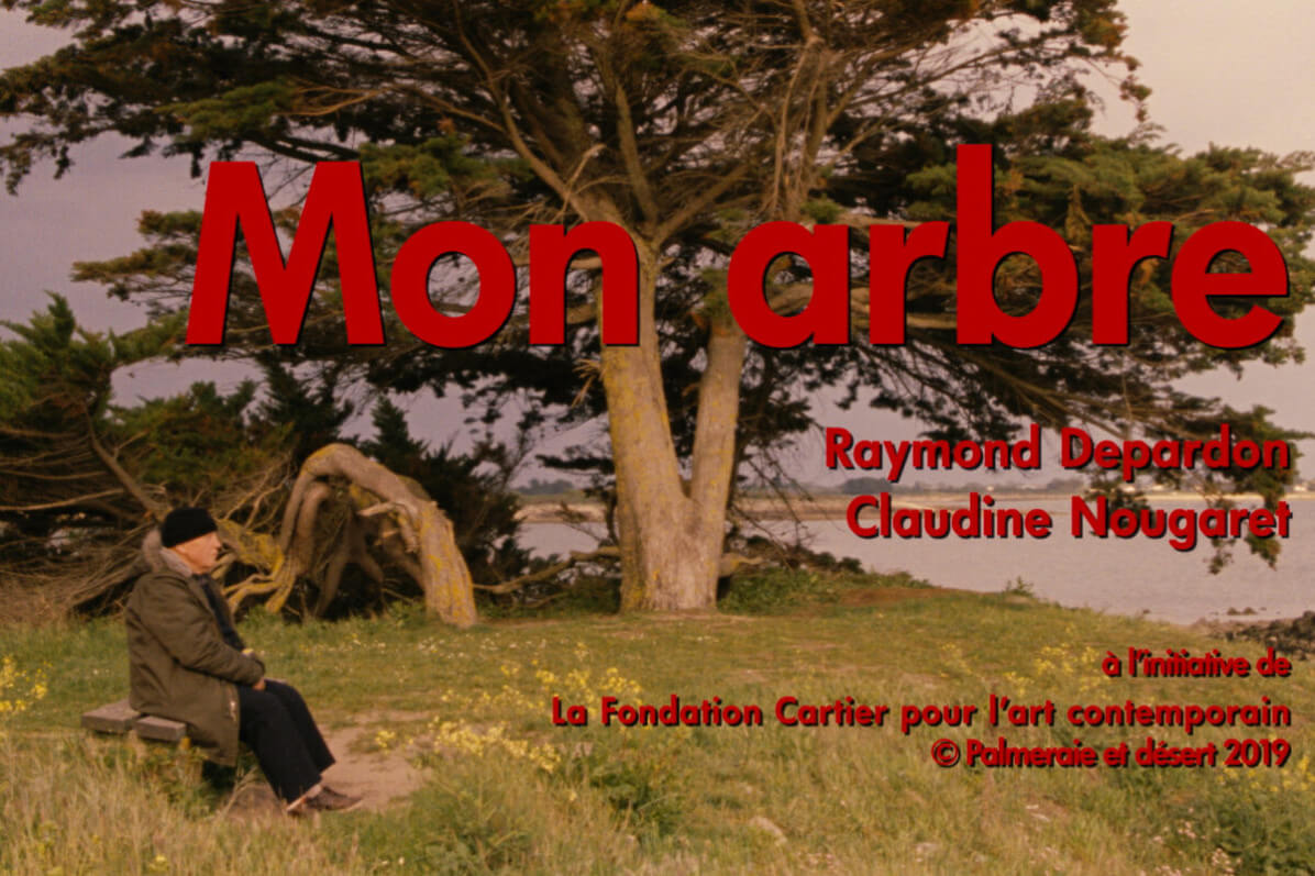Lire la suite à propos de l’article Un artiste, un arbre : restez connectés avec la Fondation Cartier