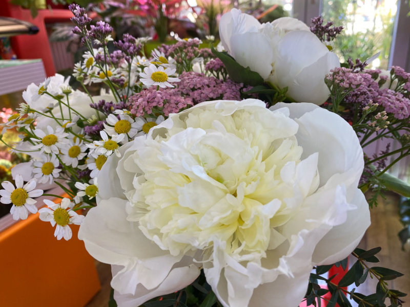 Pivoine, matricaire et achillée, bouquet Babylone, Bergamotte, fleurs coupées, Paris 19e (75)