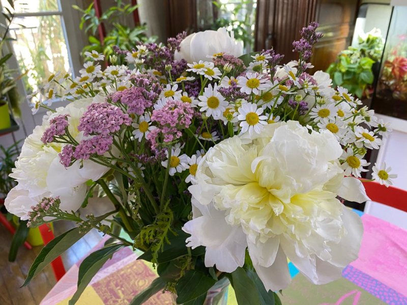 Bouquet Babylone, Bergamotte, fleurs coupées, pivoines, achillées, matricaires, Paris 19e (75)