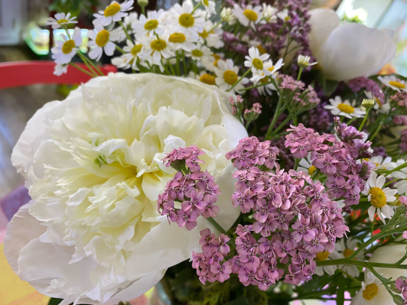 Pivoine, matricaire et achillée, bouquet Babylone, Bergamotte, fleurs coupées, Paris 19e (75)