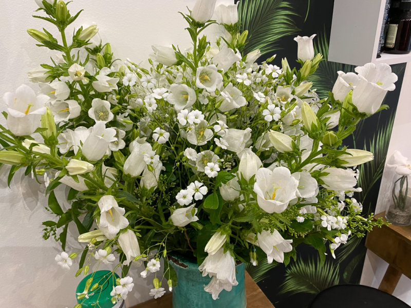 Bouquet de fleurs blanches, campanules, Paris 3e (75)