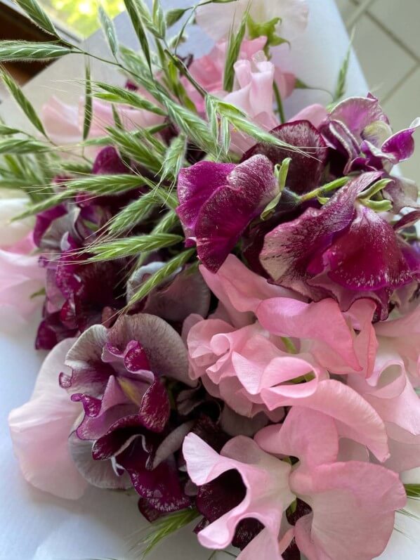 Bouquet de pois de senteur et graminées, fleurs coupées, Paris 12e (75)