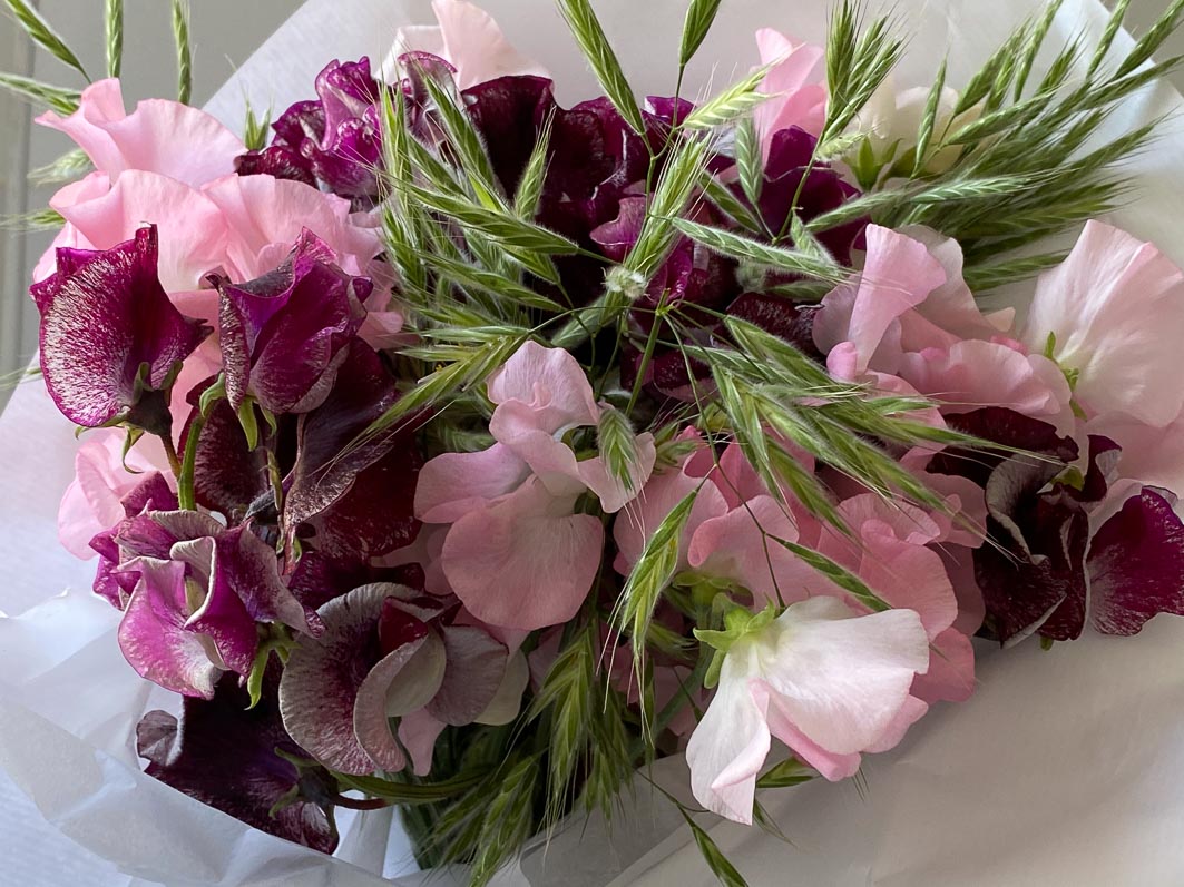 Bouquet de pois de senteur et graminées, fleurs coupées, Paris 12e (75)