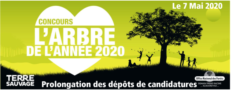 Concours de l'Arbre de l'année 2020, ONF, Terre Vivante