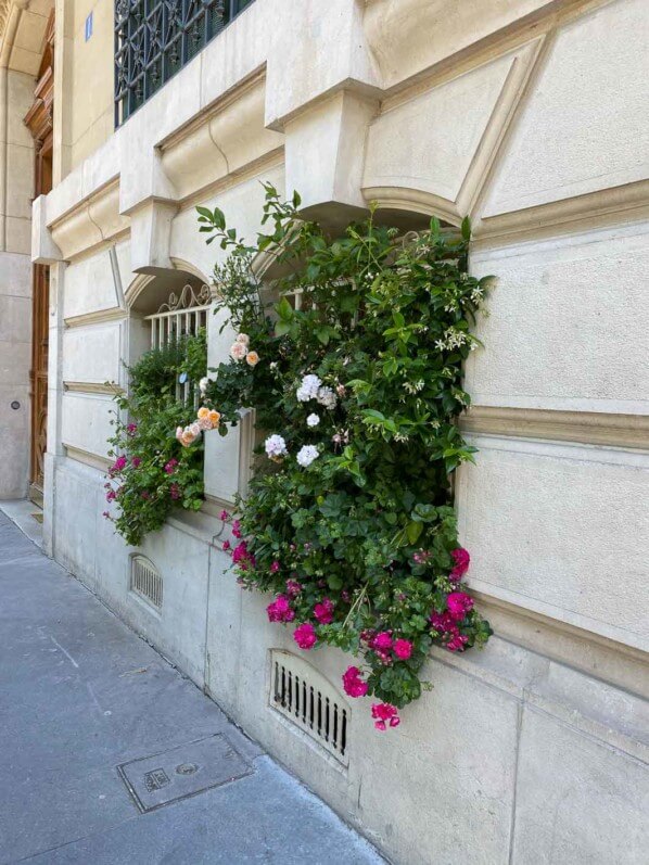 Fenêtre fleurie, avenue de l'Observatoire, Paris 6e (75)