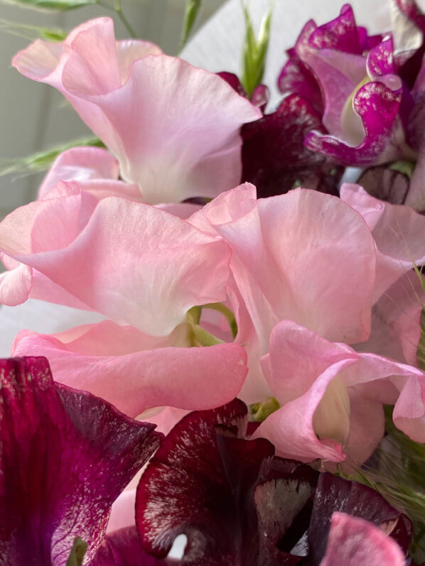 Bouquet de pois de senteur et graminées, fleurs coupées, Paris 12e (75)