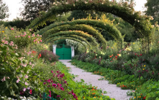 Arceaux, capucines, allée, en fin d'été dans les jardins de Claude Monet, Fondation Claude Monet, Giverny (27)