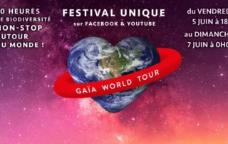 Gaïa World Tour, juin 2020