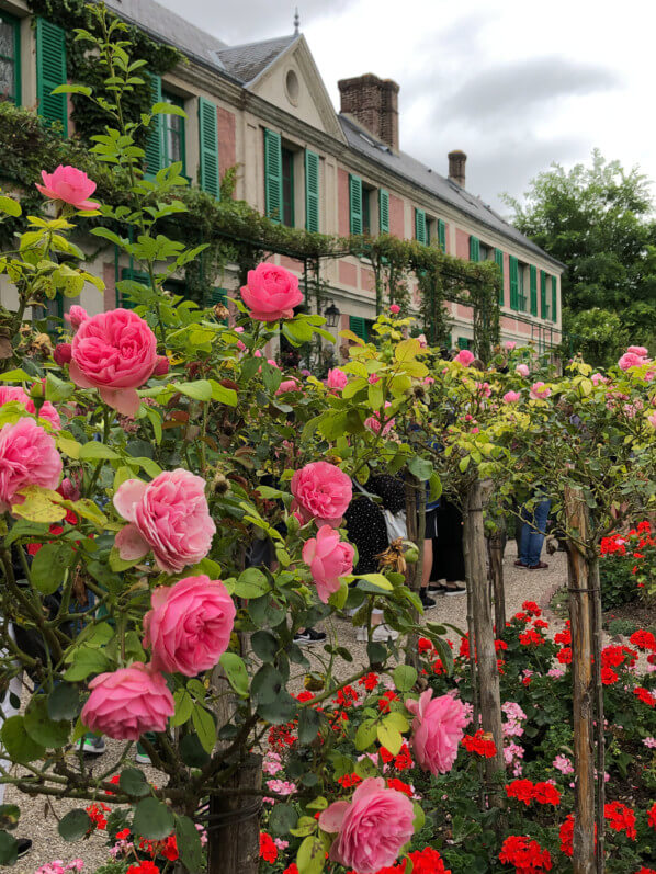 Roses devant la maison, jardins de Claude Monet, Fondation Claude Monet, Giverny (27)