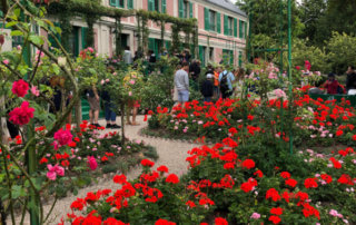 Pelargoniums devant la maison, jardins de Claude Monet, Fondation Claude Monet, Giverny (27)