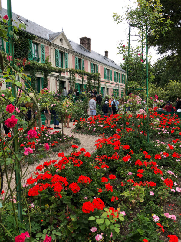 Pelargoniums devant la maison, jardins de Claude Monet, Fondation Claude Monet, Giverny (27)