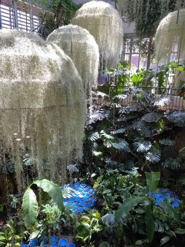 Rainforest, installation de Patrick Nadeau, Tillandsia usneoides, Broméliacées, Jardin de la Serre de la Cour de la Ferme, Festival International des Jardins de Chaumont-sur-Loire (41)