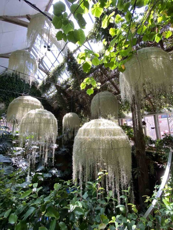 Lire la suite à propos de l’article Rainforest, Festival International des Jardins de Chaumont-sur-Loire (41)