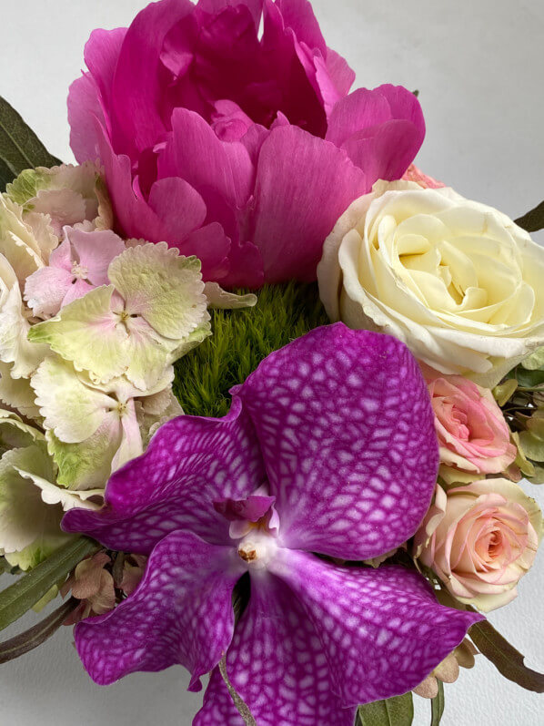 Bouquet de vanda, pivoine, roses et hortensia, fleurs coupées, Paris 12e (75)