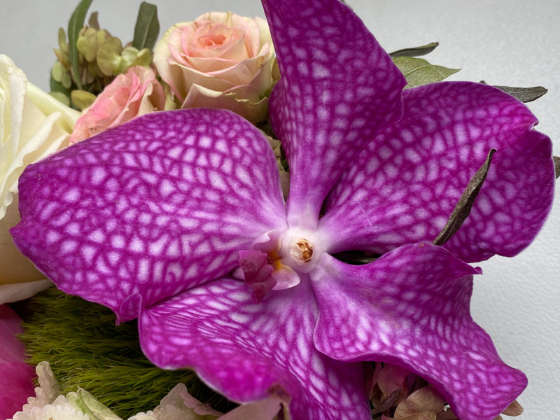 Bouquet, vanda, fleurs coupées, Paris 12e (75)