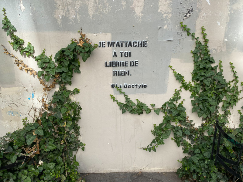 Inscription, citation, street art, lierre, au printemps dans la rue de Moussy, Paris 3e (75)