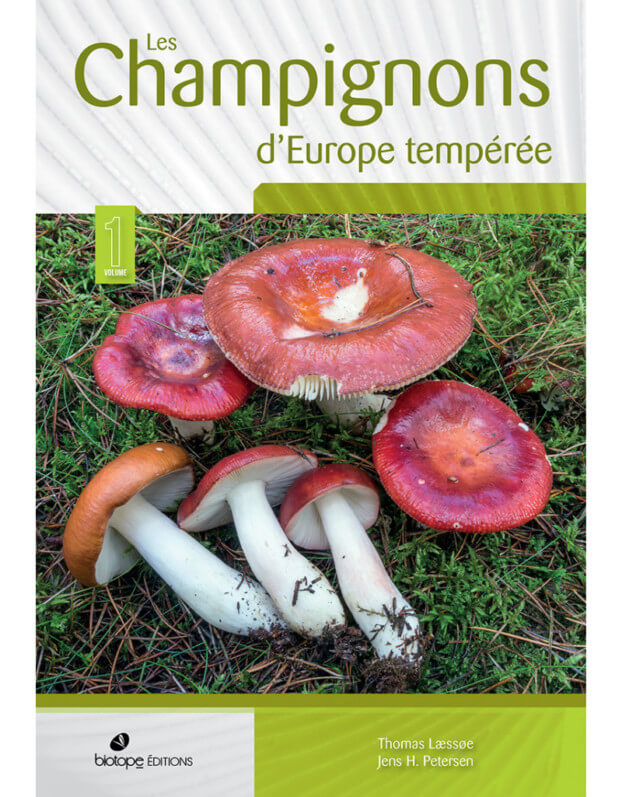 Lire la suite à propos de l’article Les champignons d’Europe tempérée