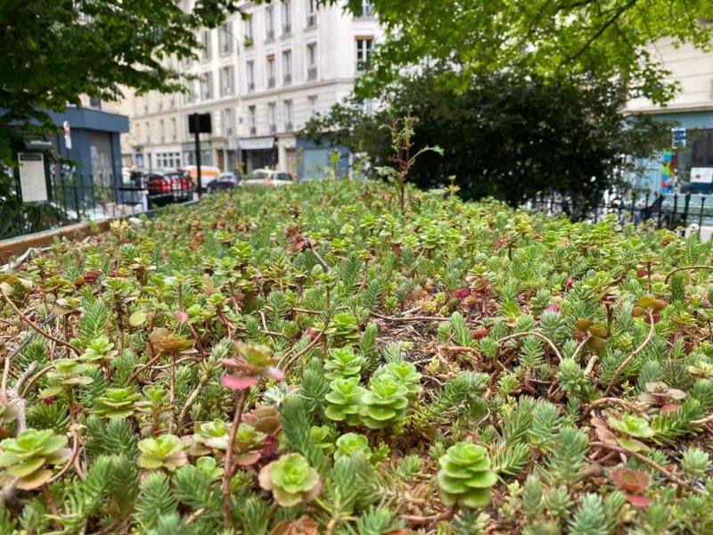 Conteneurs de tri sélectif des déchets avec toiture végétalisme, square Gardette, Paris 11e (75)