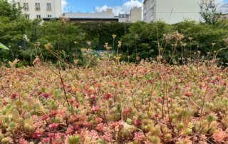 Conteneurs de tri sélectif des déchets avec toiture végétalisme, jardin Françoise Héritier au printemps dans Paris, Paris 14e (75)