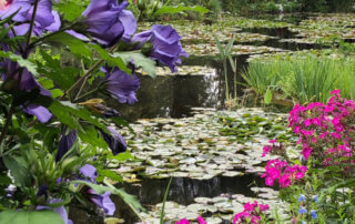 Étang aux nymphéas, Jardins de Claude Monet, Fondation Claude Monet, Giverny (27)