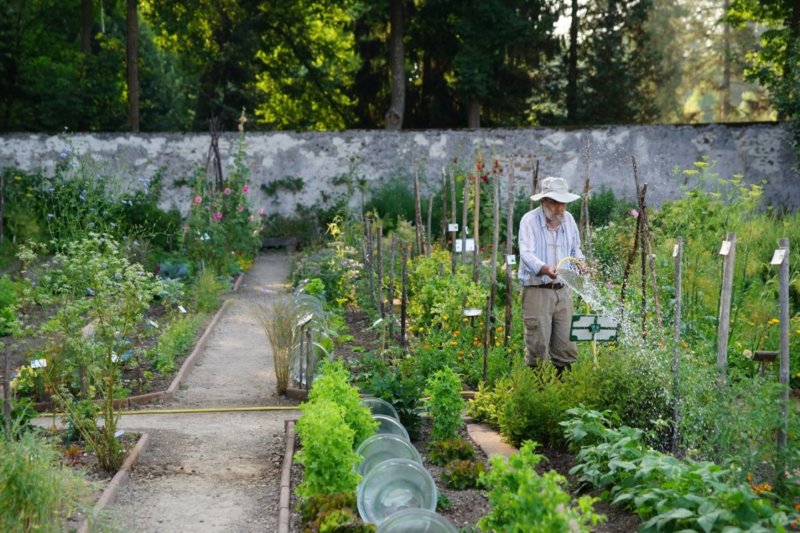 91 - Propriete Caillebotte - Le potager © Christophe Brachet