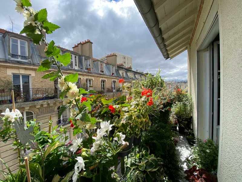 En été sur mon balcon parisien, Paris 19e (75)