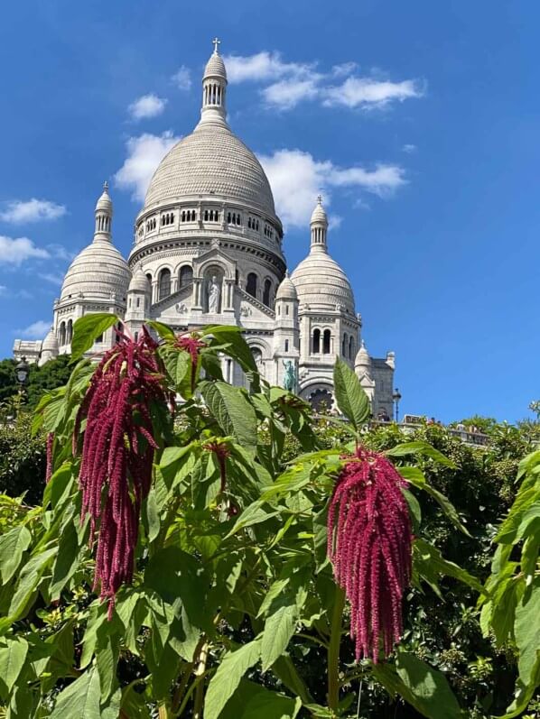 Basilique du Sacré Coeur en été sur la Butte de Montmartre, Paris 18e (75)