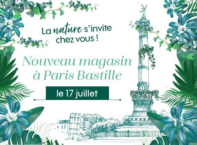 Ouverture du magasin Truffaut Paris Bastille le 17 juillet 2020