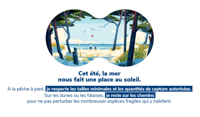 La mer, visuel de la campagne L'été de la biodiversité, OFB