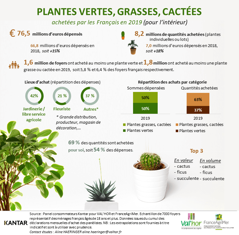Infographie, achats de plantes vertes, cactus et plantes succulentes en 2019, étude Kantar