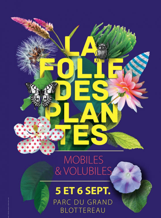 Lire la suite à propos de l’article 33e “Folie des plantes”, parc du Grand-Blottereau de Nantes, 5 et 6 septembre 2020