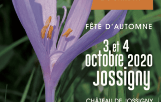 Les 3 et 4 octobre 2020 4ème Fête d'automne au château de Jossigny, Jossigny (77)