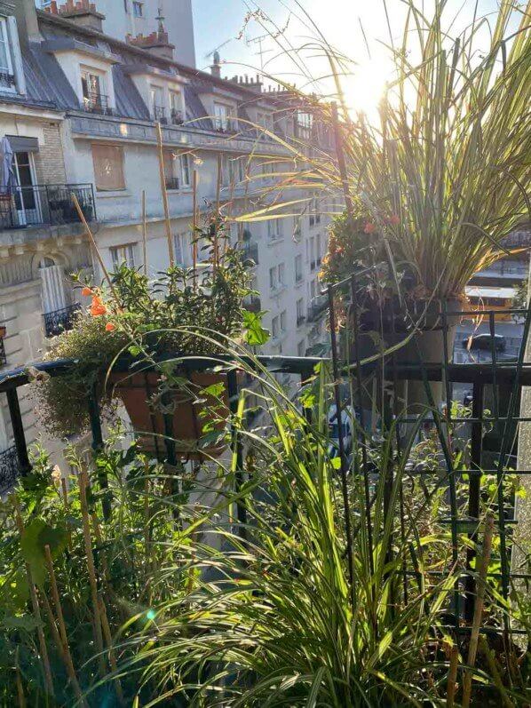 Soleil en automne sur mon balcon parisien, Paris 19e (75)