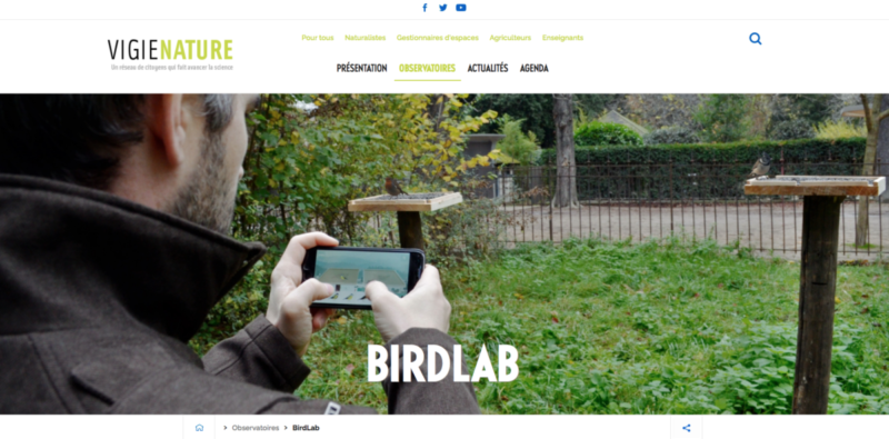 Birdlab, le site Internet