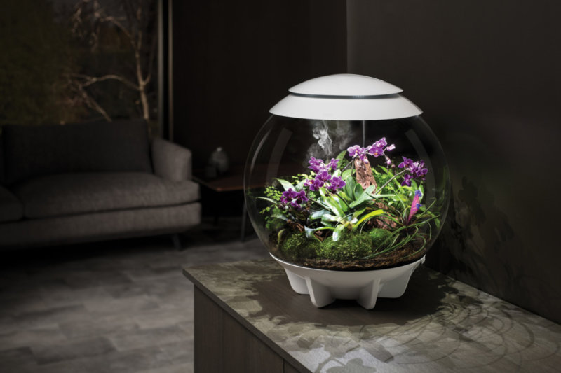 Nouveau biOrb AIR 30 : La nature s'invite en intérieur