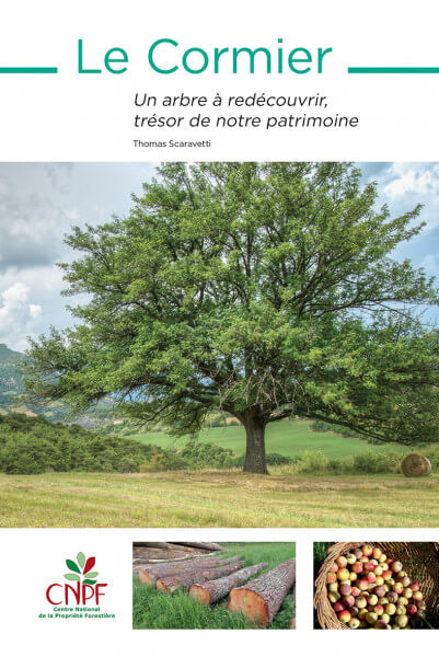 Lire la suite à propos de l’article Le Cormier
